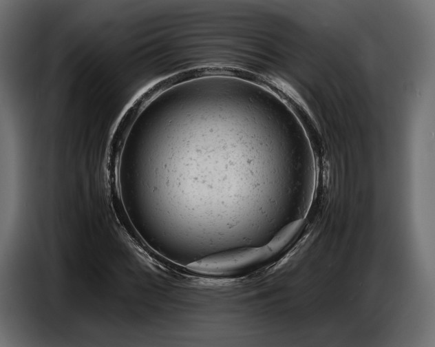 X0000087671068200705041006