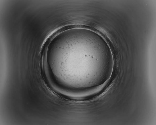 X0000087671069200705041006