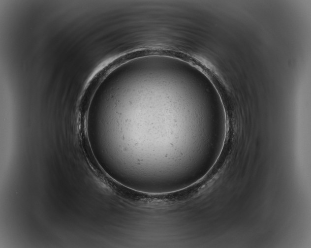 X0000087671070200705041006