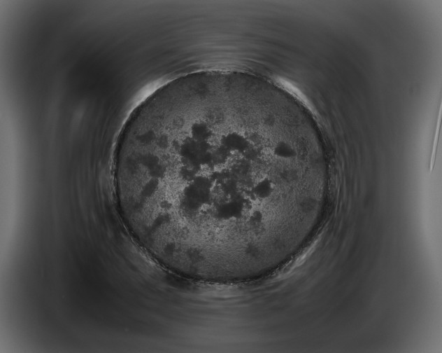 X0000087671071200705041006