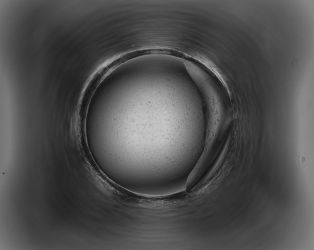 X0000087671072200705041006