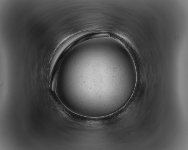 X0000087671073200705041006