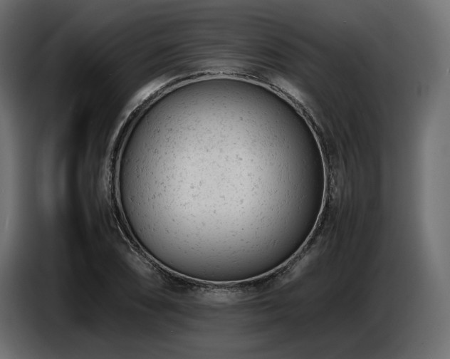 X0000087671074200705041006