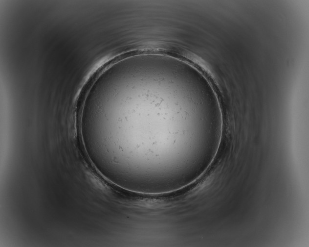 X0000087671075200705041006