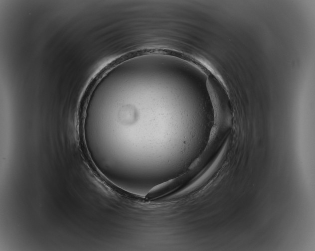 X0000087671076200705041006