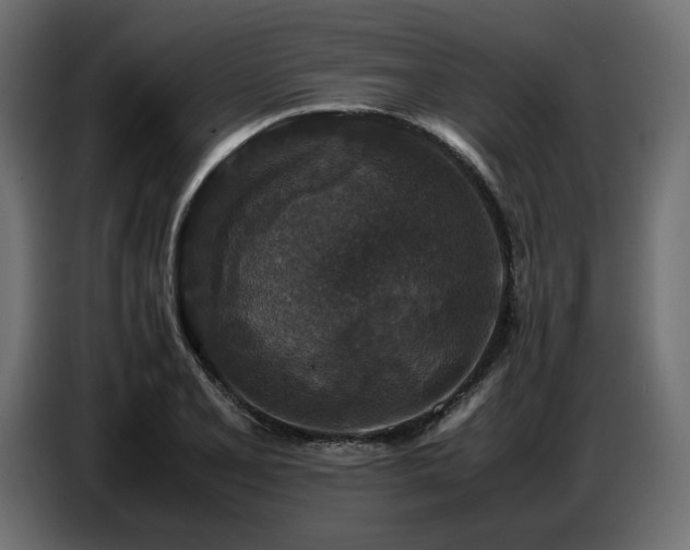 X0000087671077200705041006