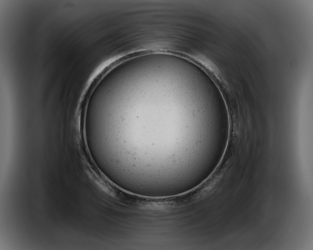 X0000087671078200705041006