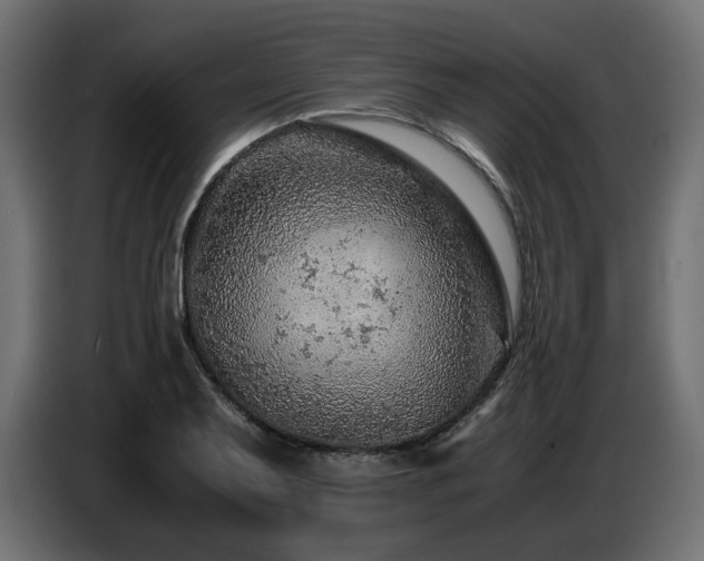 X0000087671079200705041006