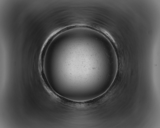 X0000087671080200705041006