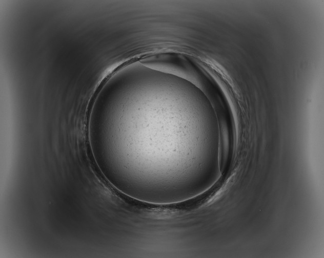 X0000087671081200705041006