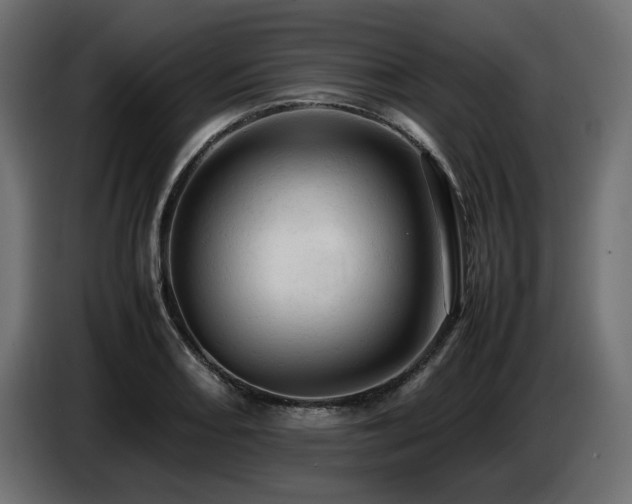 X0000087671082200705041006