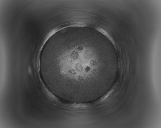 X0000087671083200705041006