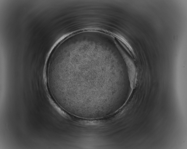 X0000087671084200705041006