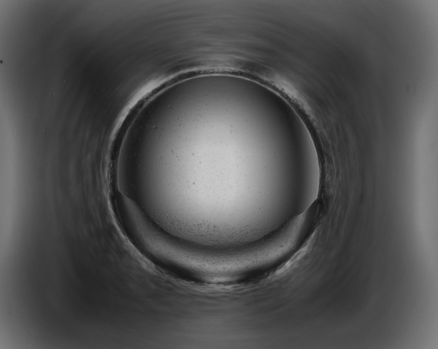 X0000087671085200705041006