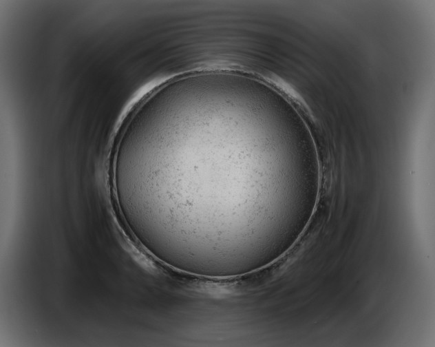 X0000087671086200705041006