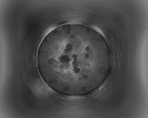 X0000087671087200705041006