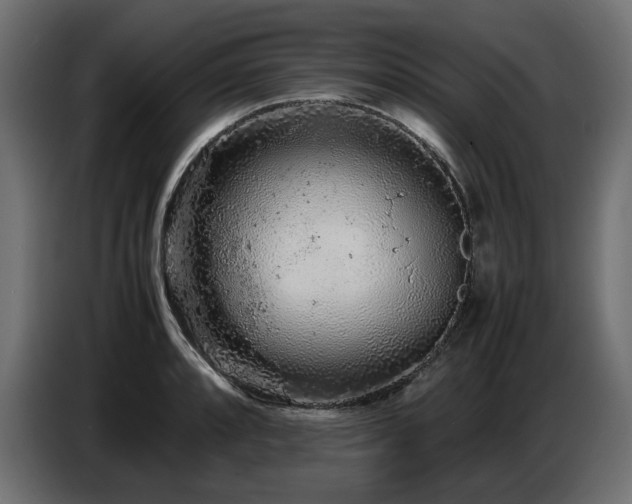 X0000087671088200705041006