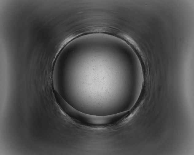 X0000087671089200705041006