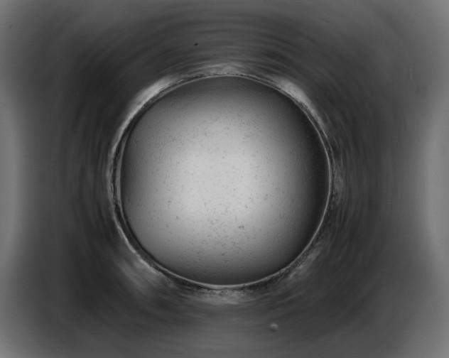 X0000087671090200705041006