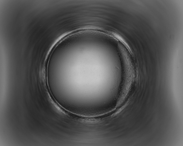 X0000087671092200705041006