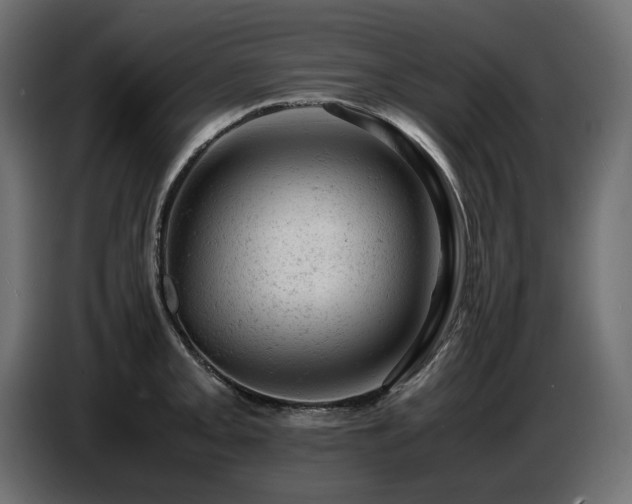 X0000087671093200705041006