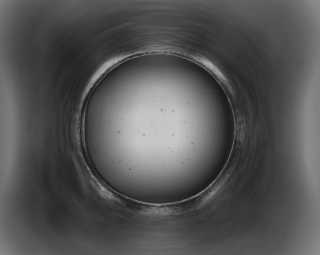 X0000087671094200705041006