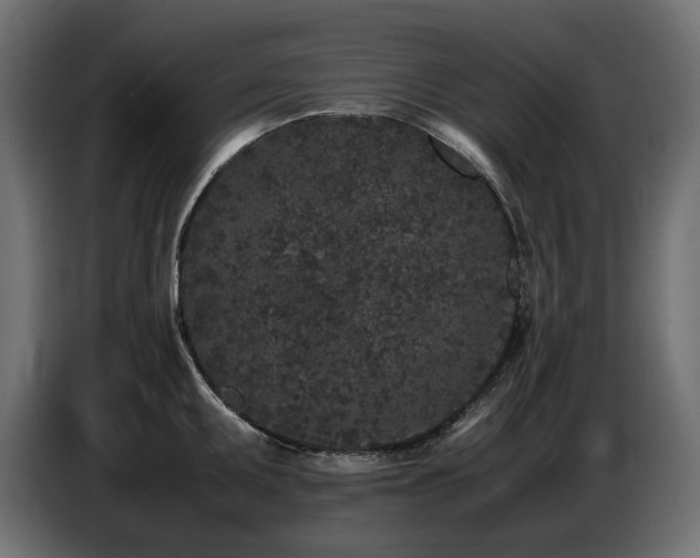 X0000087671095200705041006