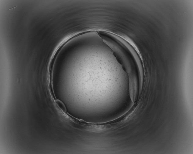 X0000087671096200705041006