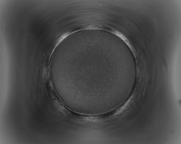 X0000087671097200705041006