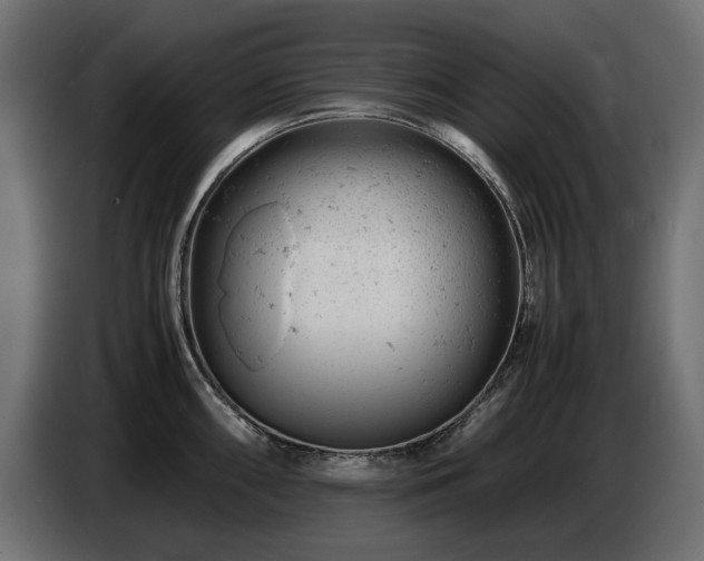 X0000087671098200705041006