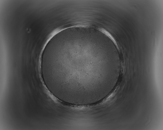 X0000087671099200705041006