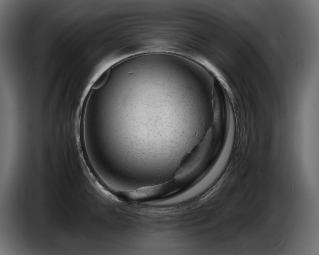 X0000087671102200705041006