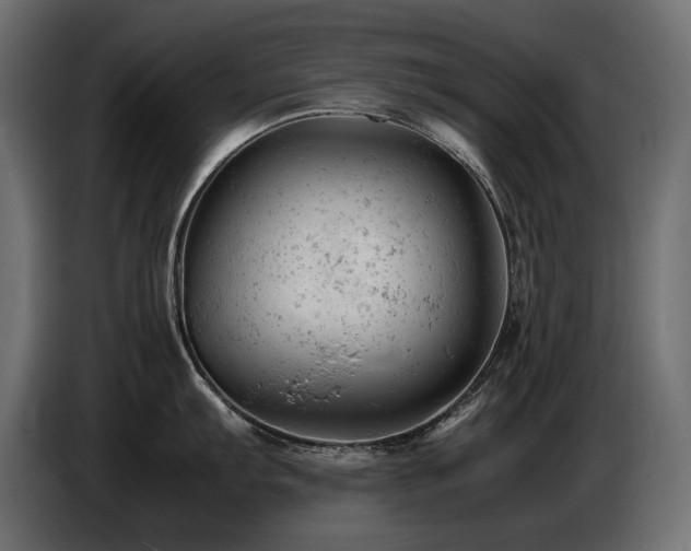 X0000087671103200705041006