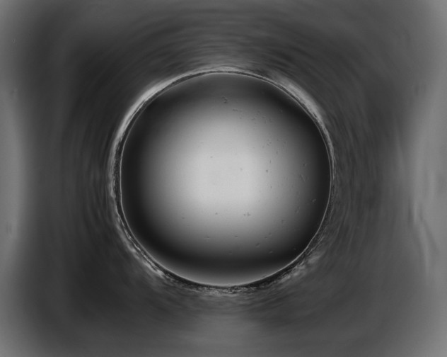 X0000087671104200705041006