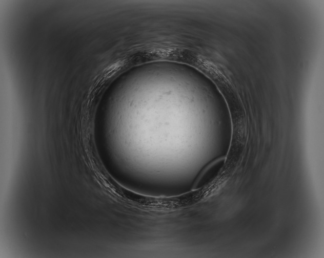 X0000087671105200705041005