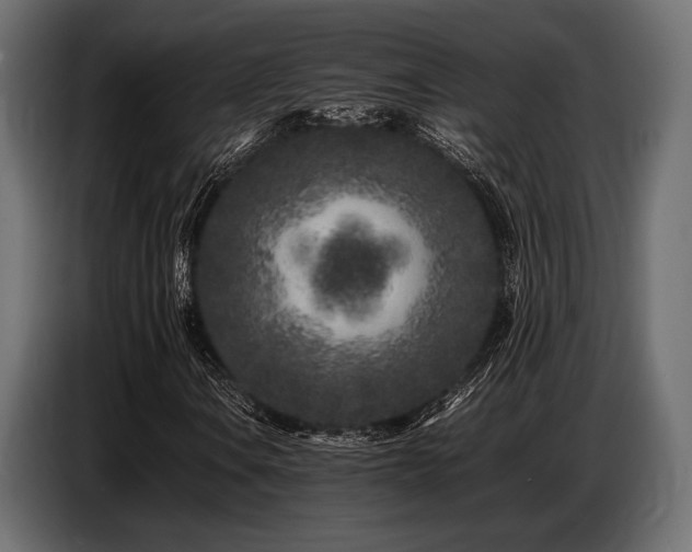 X0000087671106200705041005