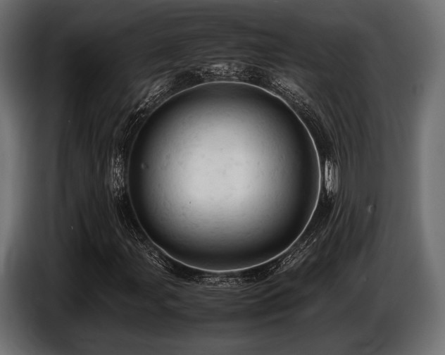 X0000087671107200705041005