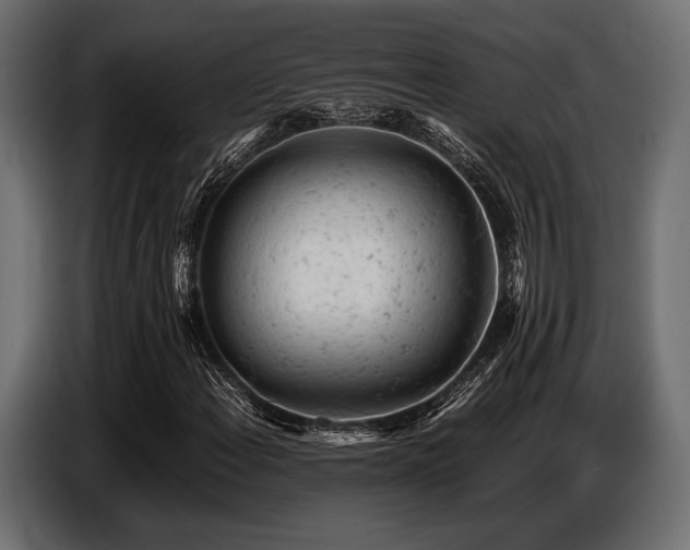 X0000087671108200705041005