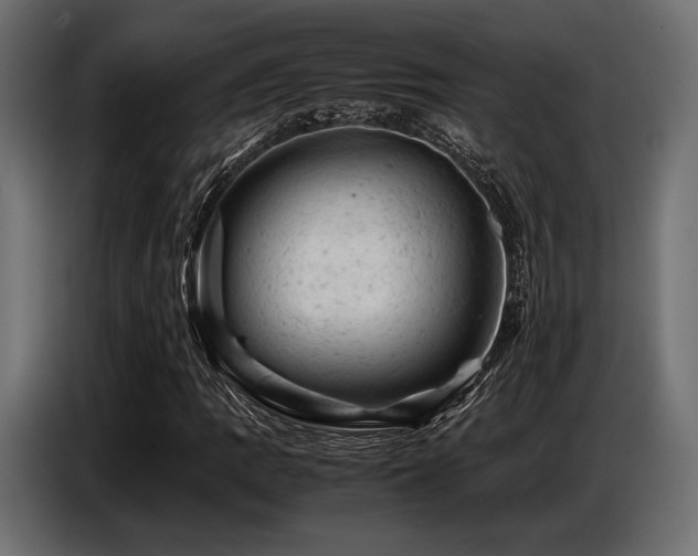 X0000087671109200705041005