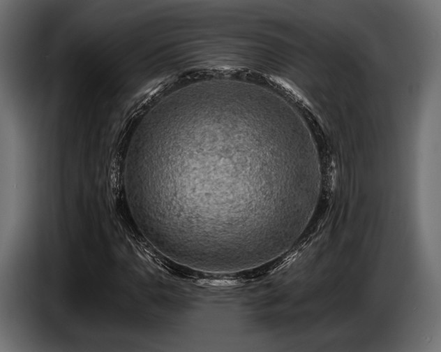 X0000087671110200705041005