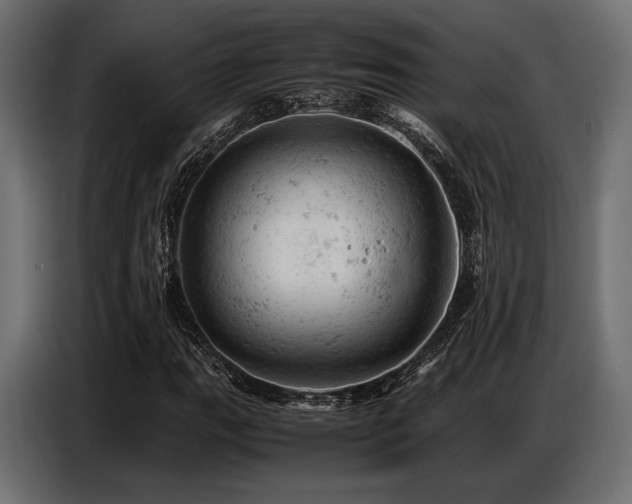 X0000087671111200705041005