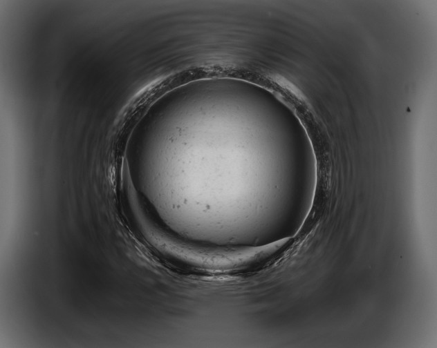 X0000087671112200705041005