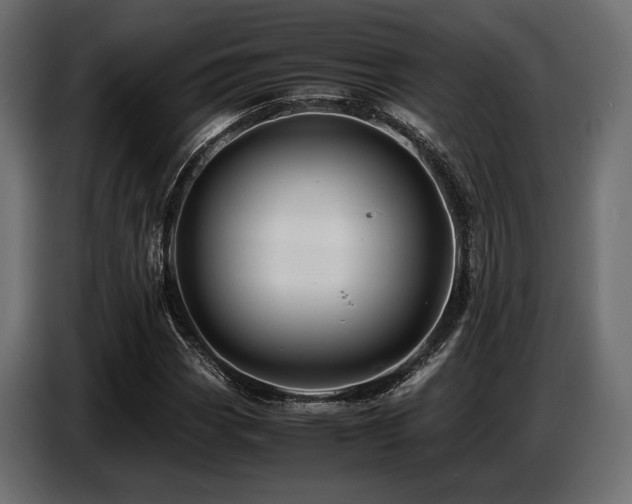 X0000087671113200705041005