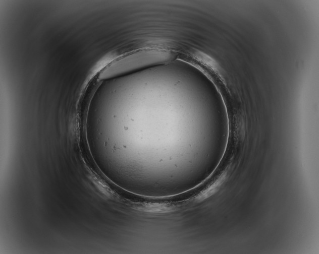 X0000087671114200705041005