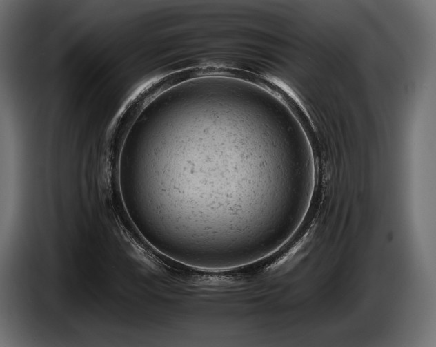 X0000087671115200705041005