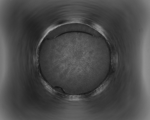 X0000087671116200705041005