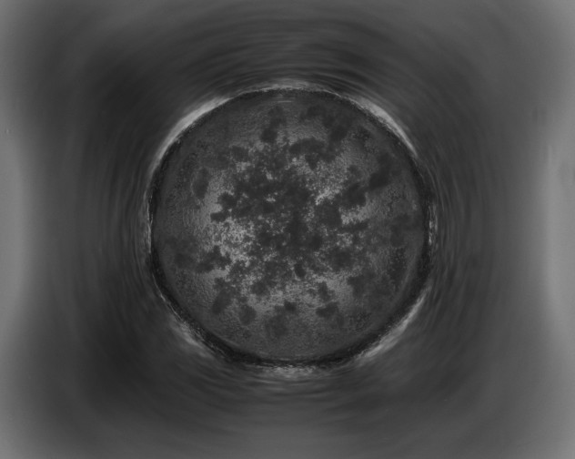 X0000087671117200705041005