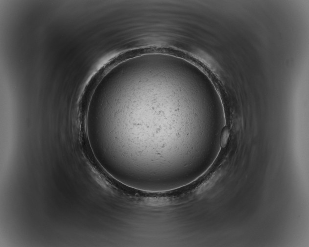 X0000087671118200705041005