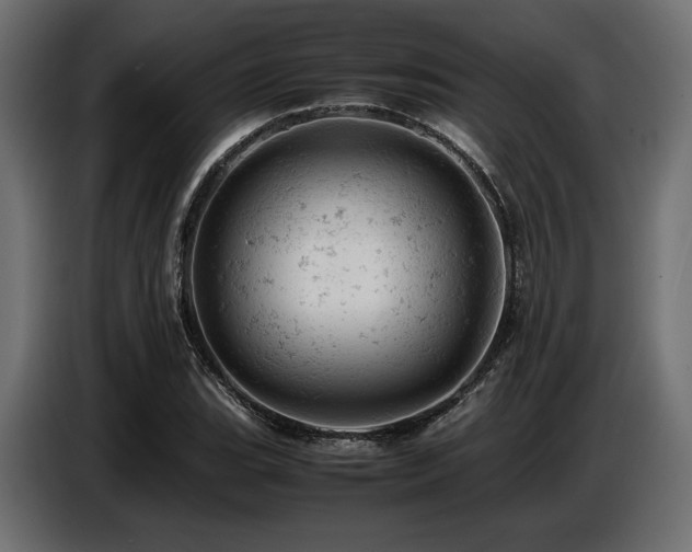 X0000087671119200705041005