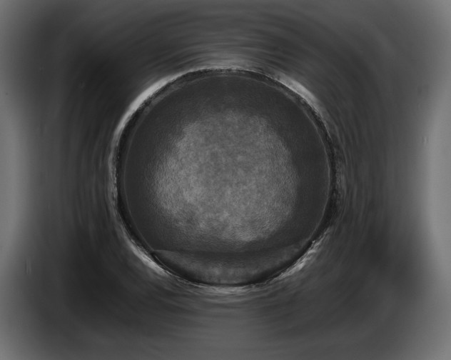 X0000087671120200705041005